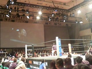 201102ddt.jpg