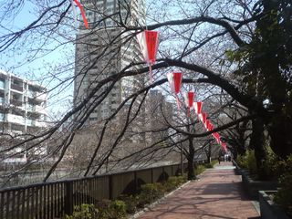 201104meguro1.jpg