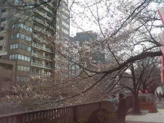 201104meguro2.jpg