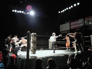 201104sinkiba.jpg