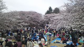 20120407nerima1.jpg