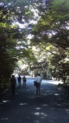 P1000022.jpg